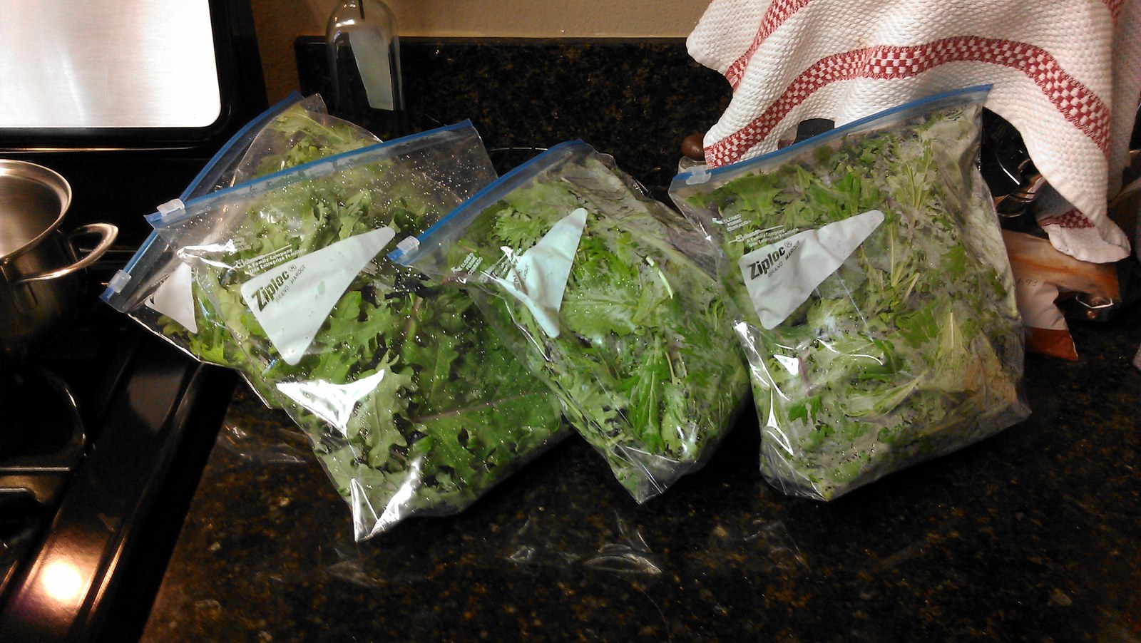 Four bulging zip bags of salad greens lined up along the kitchen counter beside the stove.