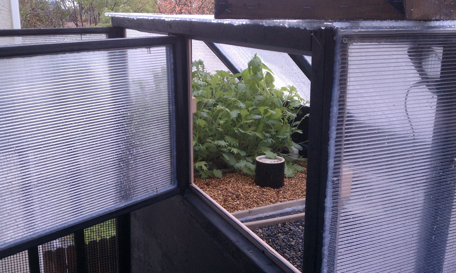 Two gravel-filled beds inside the cold frame with white PVC feed pipes running along them.