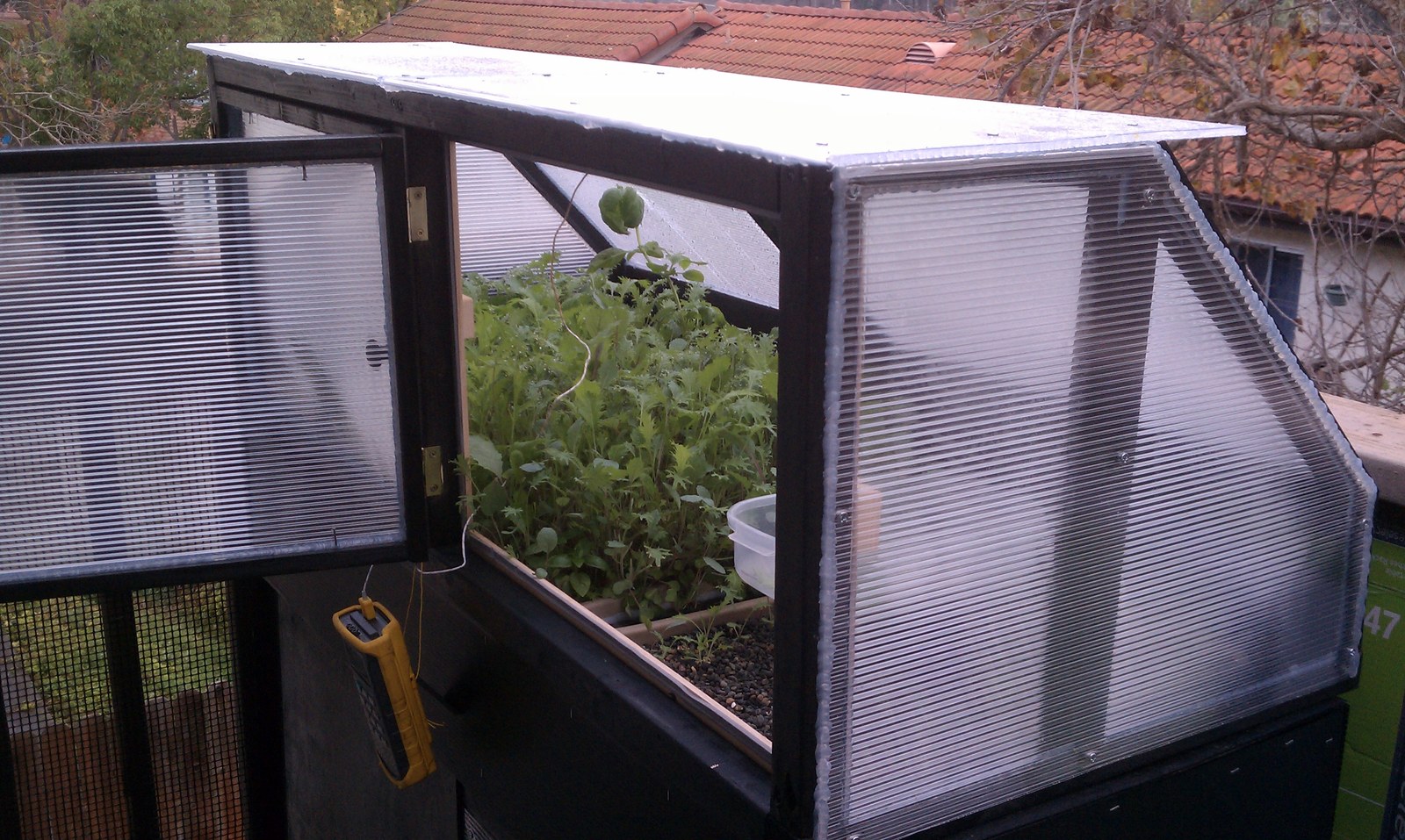 A polycarbonate cold frame on the deck with its lid propped open, greens growing inside.