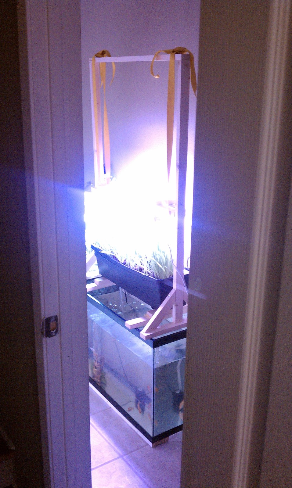 The same rig seen from the doorway, the light above it throwing color onto the wall of the storage room.