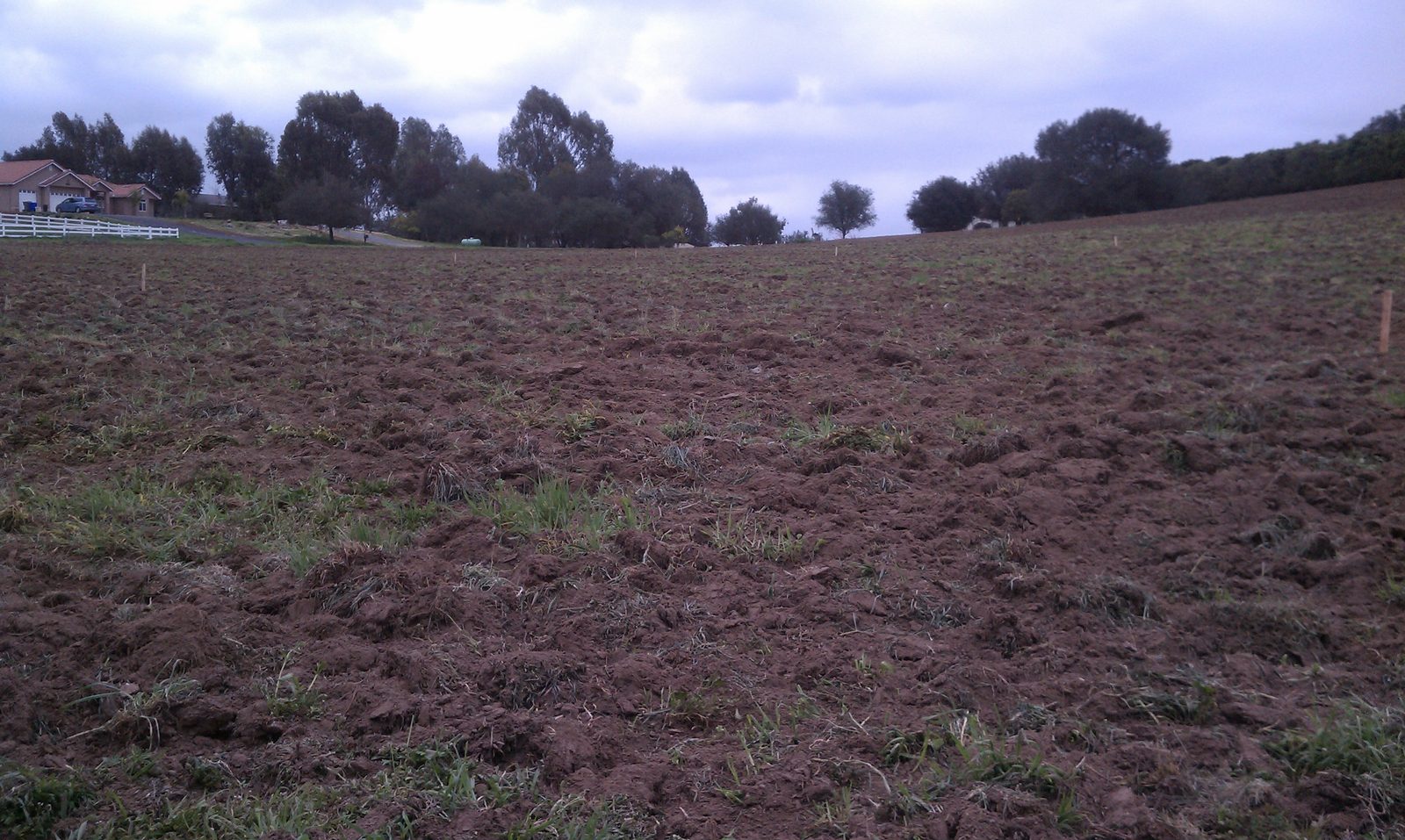An open, freshly worked field with a treeline along the far edge.