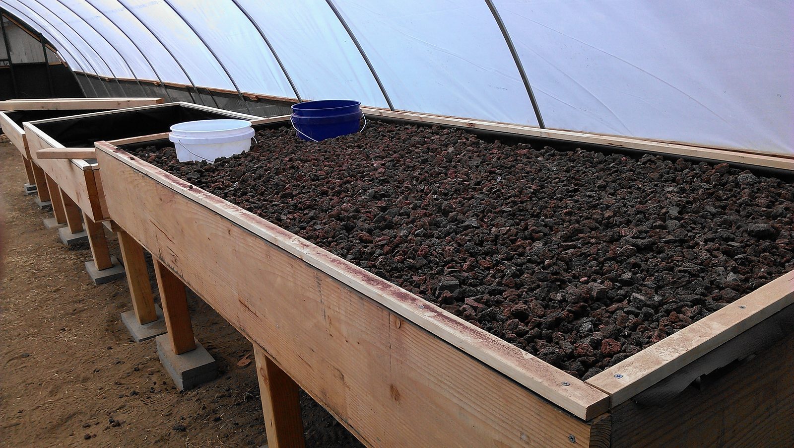 A grow bed filled with dark lava rock growing media.