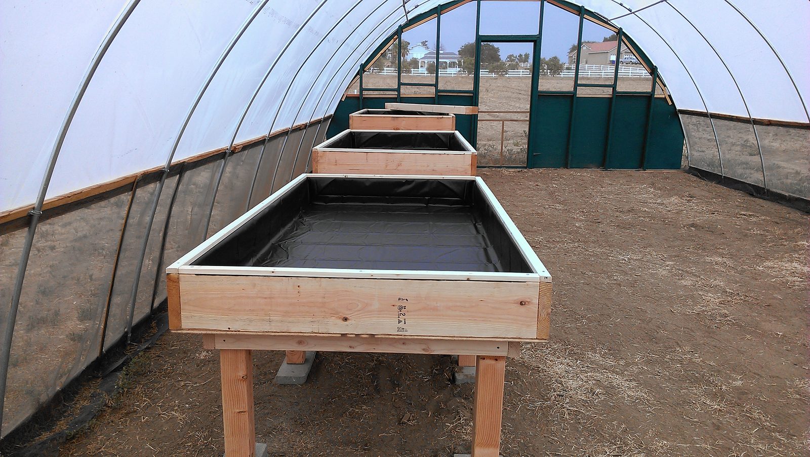 Several lined grow tables in a row down the length of the hoop house.