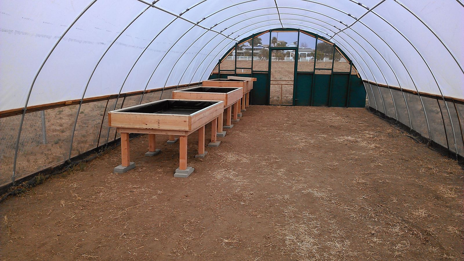 The lined grow tables seen from the door end of the hoop house, green end wall at the far end.
