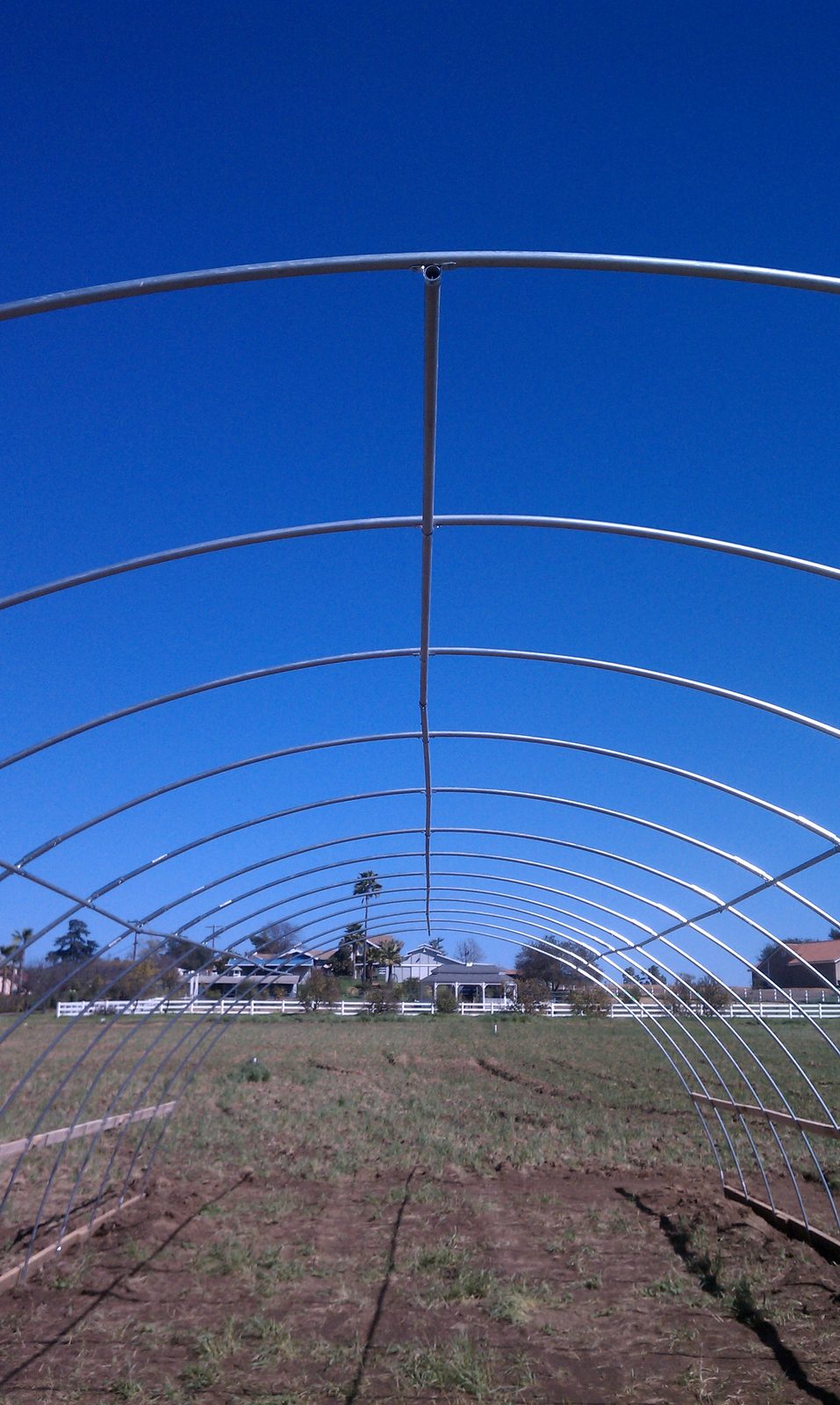 An arch of conduit ribs tied together with purlins, seen from below against blue sky.