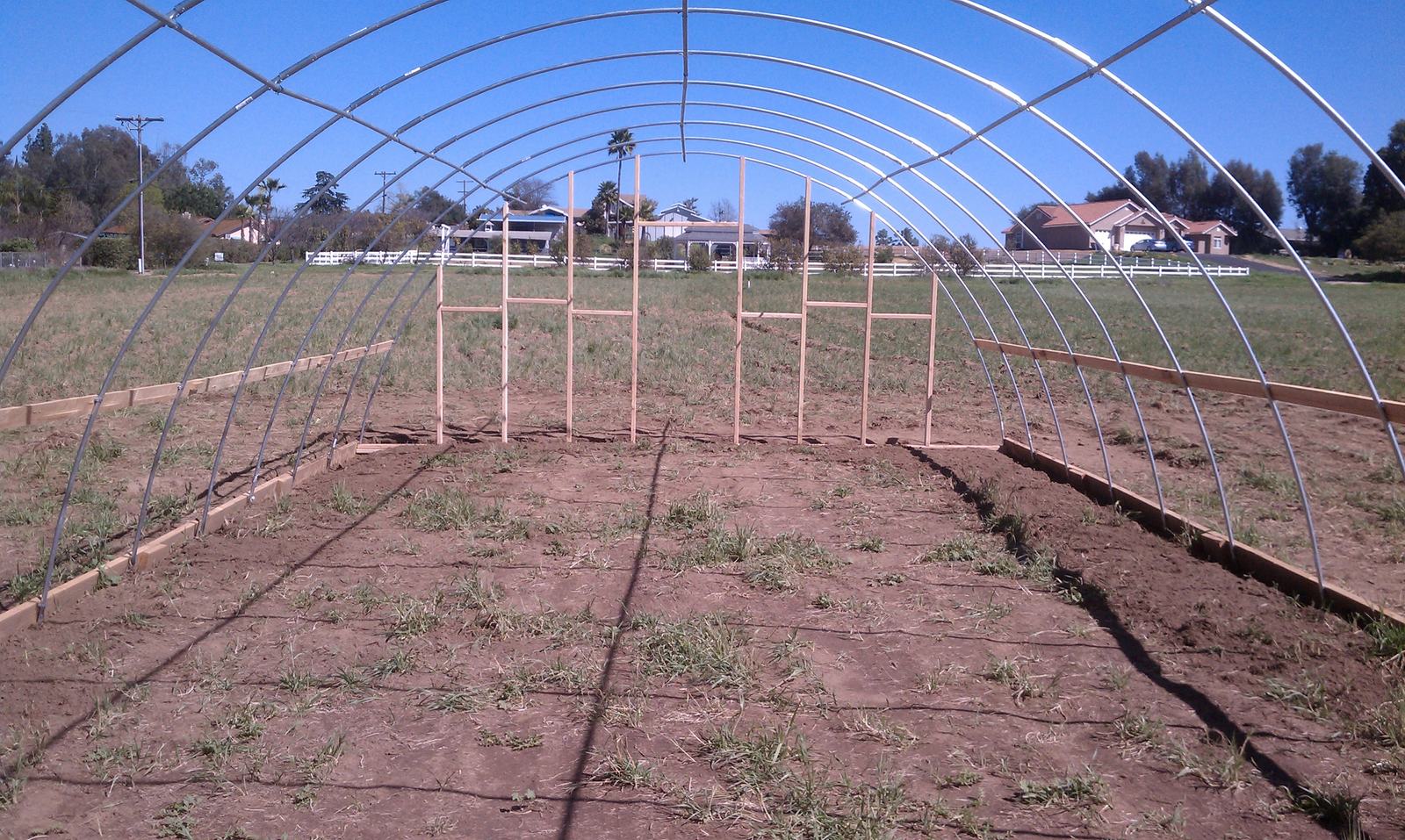 Inside the bare frame, timber end wall studs up and string lines marking the beds on the ground.