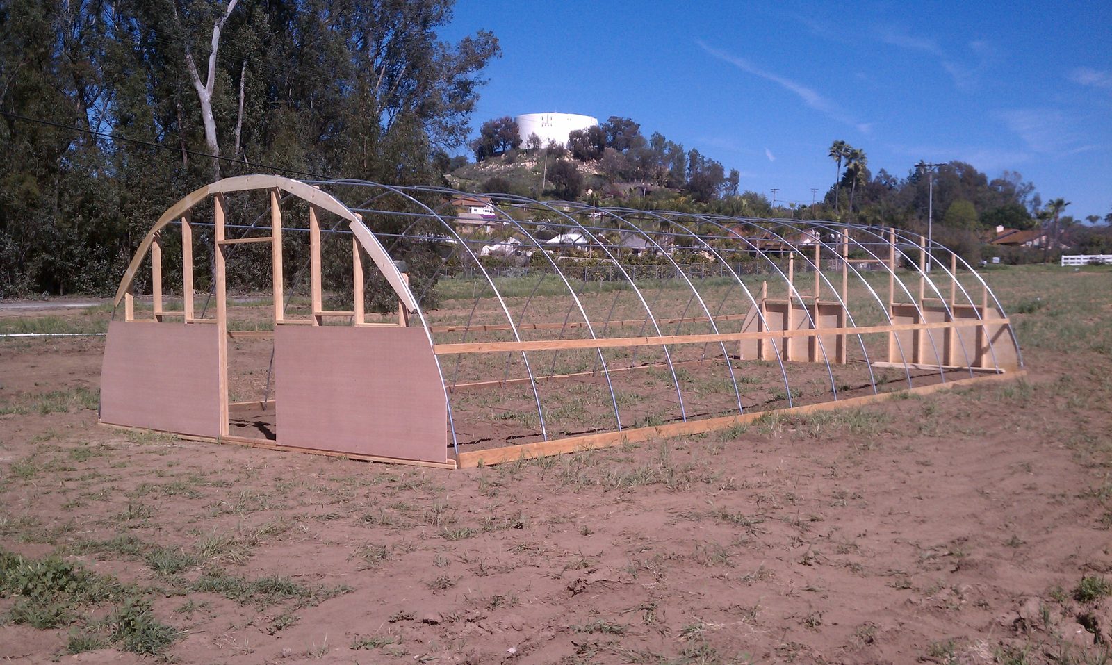 Greenhouse plastic being pulled over one end of the hoop frame.