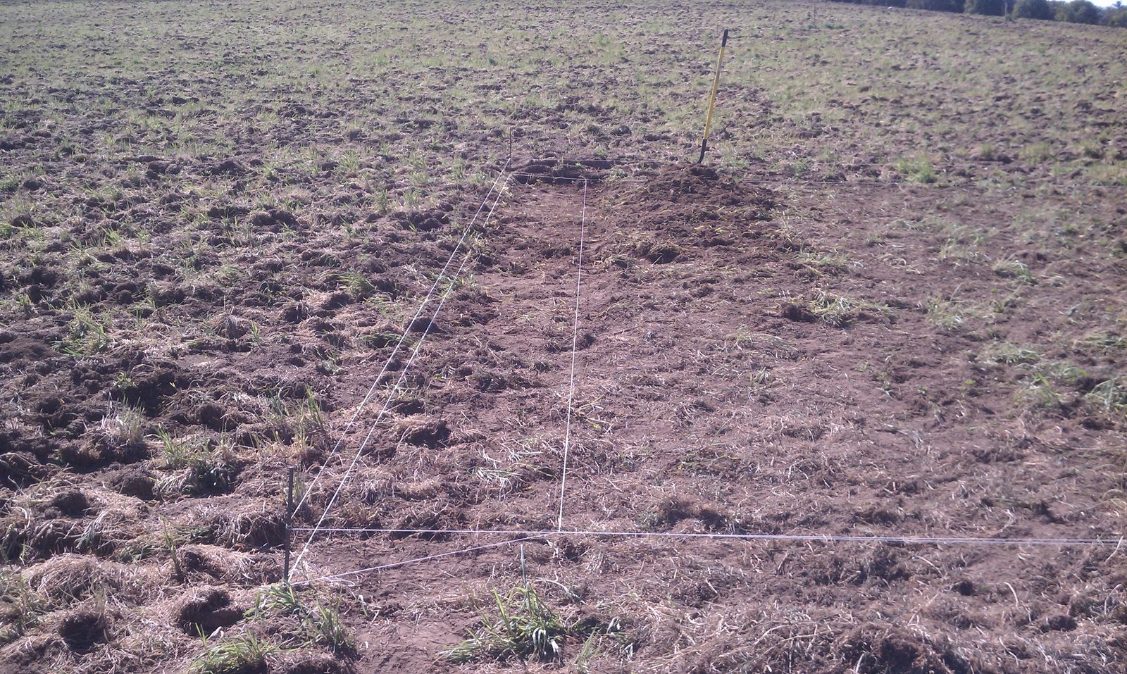 String lines pulled taut across bare ground marking out the building footprint.