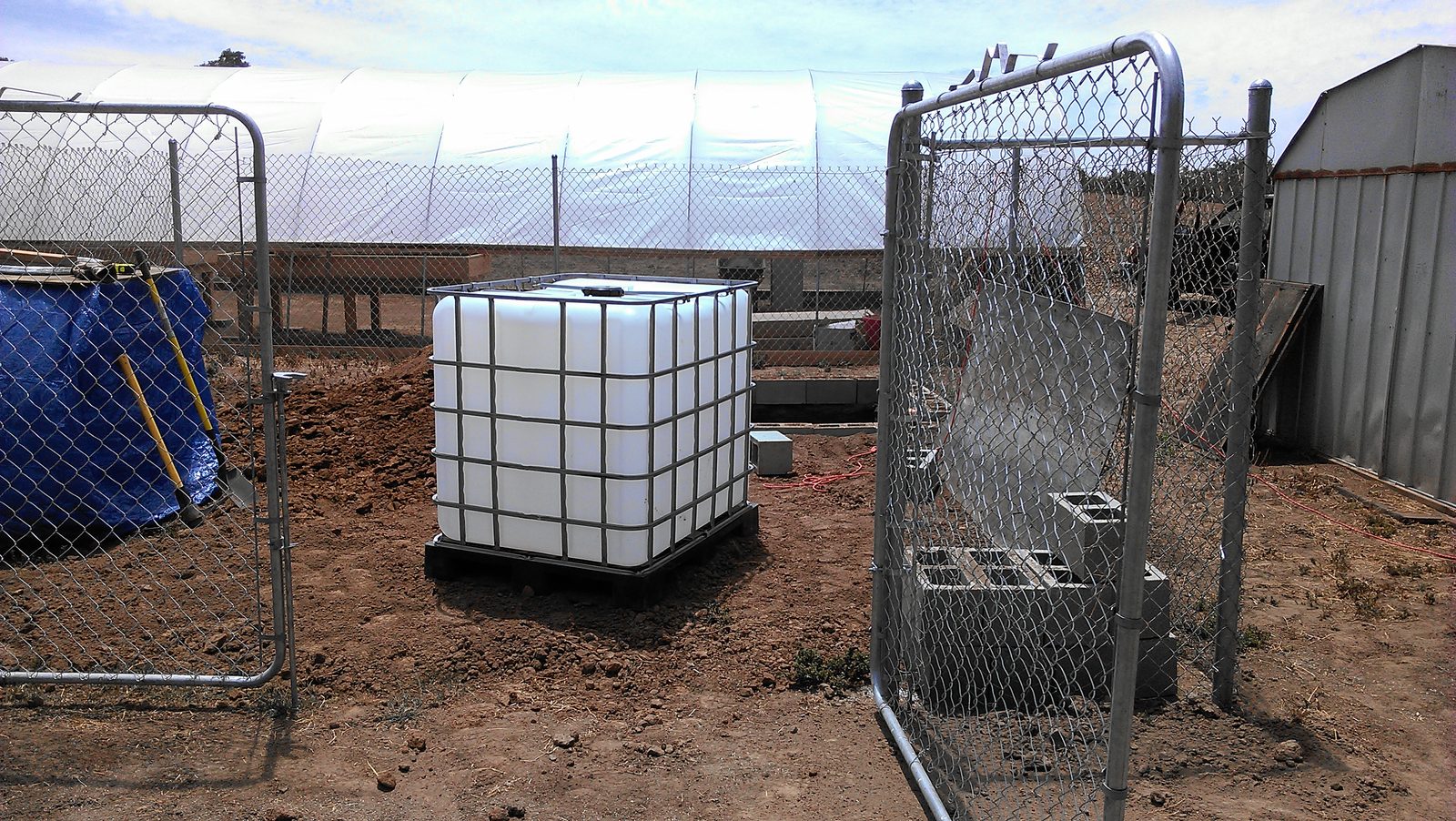 An IBC tote on a pallet by the gate, the hoop house and shed behind it.