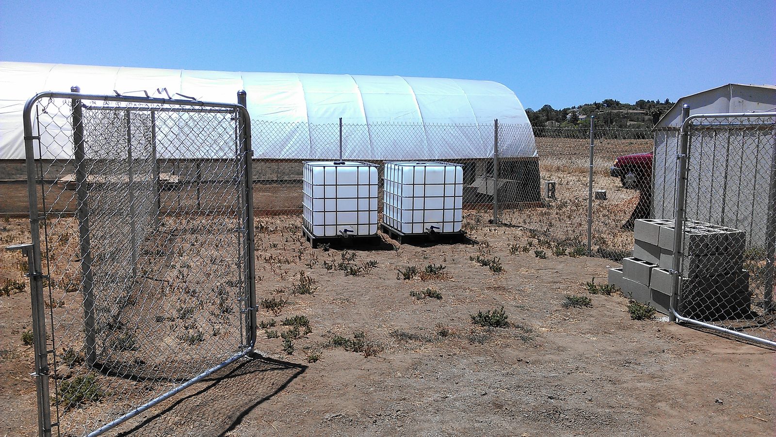 Two IBC totes and stacked concrete block staged inside the chain link fence beside the covered hoop house.